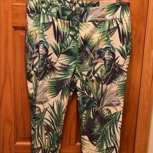 Soft Surroundings Hummingbird Straight Leg Ankle Pants